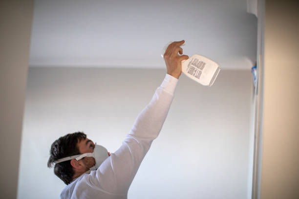 Best Toxic Mold Removal  in Auburn, CA