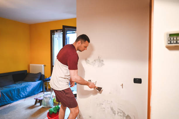 Best Residential Mold Removal  in Auburn, CA